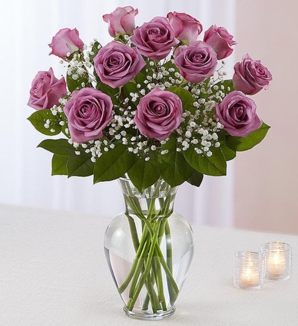 Lavender Roses