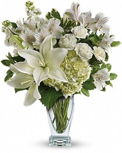 <p data-start="120" data-end="432">Show them the depth of your love with Purest Love, a breathtaking arrangement that captures the beauty of devotion in its purest form. With soft white blooms and graceful textures, this bouquet is a timeless symbol of sincerity, affection, and admiration.</p>
<p data-start="434" data-end="731">This elegant design features snow-white hydrangea, Asiatic lilies, alstroemeria, miniature carnations, and stock, accented with fresh green pittosporum for added depth and contrast. Arranged in a sleek Couture vase, the bouquet has a refined silhouette that complements the softness of the blooms.</p>
<p data-start="733" data-end="979">Purest Love is a perfect choice for anniversaries, sympathy gestures, weddings, or any moment when you want to say “you matter” with quiet beauty and lasting meaning. Its all-white palette brings a sense of calm, purity, and heartfelt connection.</p>
<p data-start="981" data-end="1273">Each arrangement is handcrafted by Rosa’s La Hacienda, your trusted florist in Boca Raton. We proudly offer same-day flower delivery throughout Boca Raton and nearby communities, with every bouquet designed and delivered by hand. No drop shipping or shortcuts—just real flowers and real care.</p>
<p data-start="1275" data-end="1482">Want to make your gift even more meaningful? Add a personalized message at checkout and turn Purest Love into a memory they’ll treasure. It’s more than a bouquet—it’s a heartfelt gesture wrapped in elegance.</p>
<p data-start="1484" data-end="1560">Order today from Rosa’s La Hacienda and send love in its most graceful form.</p>