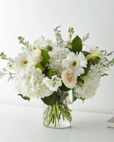 <p>Timeless, tasteful, and effortlessly elegant, the Vanilla Blossom Bouquet is a sophisticated arrangement designed to leave a lasting impression. With its graceful blend of white blooms and soft textures, this design is anything but ordinary—it’s a celebration of understated luxury.</p>
<p>This premium bouquet features white roses, hydrangeas, gerbera daisies, mini calla lilies, and delicate limonium. Each flower is chosen for its purity, texture, and classic appeal, then carefully arranged in a clear glass vase to let the natural beauty shine. The result is a serene and refined display that radiates grace and intention.</p>
<p>Perfect for weddings, anniversaries, sympathy gestures, or any occasion that calls for timeless beauty, this all-white arrangement offers elegance that suits any setting. Its neutral palette makes it universally appreciated and adaptable for both joyful celebrations and heartfelt moments of remembrance.</p>
<p>Every arrangement is handcrafted by expert local florists using the freshest seasonal blooms. Some flowers may arrive in bud form to ensure extended freshness and a longer-lasting presentation. Local delivery is available through a trusted florist network, providing reliable service and thoughtful care with every order.</p>
<p>Want to make it even more meaningful? Include a personal message during checkout to add a heartfelt touch. The Vanilla Blossom Bouquet is more than a floral gift—it’s a graceful expression of love, comfort, and refined taste.</p>
