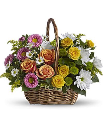 <p data-start="143" data-end="472">Send a wave of peace and happiness with the Sweet Tranquility Basket, a colorful floral arrangement designed to lift spirits and brighten any room. With its garden-fresh charm and cheerful hues, this bouquet offers comfort, joy, and a smile all in one thoughtful gift.</p>
<p data-start="474" data-end="880">This vibrant display features a blend of orange and yellow roses, pink matsumoto asters, white daisies, green button mums, and white monte cassino asters. Accented with solidago, salal, and variegated pittosporum, the arrangement is thoughtfully presented in a handled basket that’s as practical as it is beautiful. Easy to move and easy to love, this basket brings the warmth of a blooming garden indoors.</p>
<p data-start="882" data-end="1142">Sweet Tranquility Basket is perfect for sending well wishes, offering sympathy, celebrating a birthday, or just saying “I’m thinking of you.” Its soft and colorful tones create a balanced mix of comfort and joy, making it a versatile choice for many occasions.</p>
<p data-start="1144" data-end="1472">Every bouquet is handcrafted by Rosa’s La Hacienda, your trusted local florist in Boca Raton. We proudly offer same-day flower delivery throughout Boca Raton and nearby areas, with each order arranged locally and delivered with care. No outsourcing or shortcuts—just heartfelt service and beautiful flowers made fresh every day.</p>
<p data-start="1474" data-end="1757">Want to make your gift more personal? Add a custom message during checkout to send your thoughts along with this lovely arrangement. Sweet Tranquility Basket brings the calm and color of nature into any space, making it a comforting and joyful surprise for someone who needs it most.</p>
<p data-start="1759" data-end="1858">Order today from Rosa’s La Hacienda and deliver a little peace, beauty, and brightness in a basket.</p>