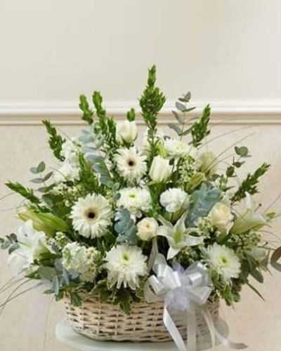 <p data-start="193" data-end="412">In times of sorrow, a gentle and elegant gesture can bring quiet comfort. The <em data-start="271" data-end="300">Serenity Basket Arrangement</em> offers a heartfelt expression of sympathy, thoughtfully designed to honor a life with beauty, grace, and peace.</p>
<p data-start="414" data-end="678">This sophisticated arrangement features pure white roses, hybrid lilies, Gerbera daisies, and additional fresh seasonal blooms. Hand-arranged in a classic handled basket, the design is full, balanced, and serene—creating a soft, comforting presence in any setting.</p>
<p data-start="680" data-end="958">Appropriate for sending to the funeral home or directly to the family's home, this arrangement is suitable for friends, family, or professional associates. The all-white palette conveys purity, reverence, and remembrance, making it an ideal way to express heartfelt condolences.</p>
<p data-start="960" data-end="1224">Every <em data-start="966" data-end="995">Serenity Basket Arrangement</em> is handcrafted by the florists at Rosa’s La Hacienda, your trusted local florist in Boca Raton. We offer same-day delivery throughout Boca Raton and surrounding areas, ensuring your gift arrives fresh and respectfully presented.</p>
<p data-start="1226" data-end="1417">Include a personal sympathy message at checkout to let them know you’re thinking of them. With the <em data-start="1325" data-end="1354">Serenity Basket Arrangement</em>, your compassion is felt through every carefully chosen bloom.</p>