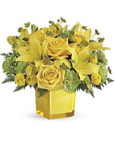 <p data-start="126" data-end="417">Lift their spirits and light up their day with Sunny Mood, a glowing bouquet designed to bring warmth, happiness, and cheer to any space. Bursting with golden hues and fresh green accents, this arrangement is the floral version of pure positivity.</p>
<p data-start="419" data-end="720">The bouquet features sunny yellow roses and bright Asiatic lilies, paired with green carnations, yellow button spray chrysanthemums, and fresh bupleurum. Touches of leatherleaf fern add lush texture, while a clear glass cube vase offers a clean, modern presentation that lets the vibrant colors shine.</p>
<p data-start="722" data-end="976">Perfect for birthdays, get-well wishes, congratulations, or simply to send a little happiness, Sunny Mood makes every occasion feel a bit more joyful. The warm tones and fresh blooms work together to create a gift that feels like sunshine in flower form.</p>
<p data-start="978" data-end="1323">Each arrangement is handcrafted by the experienced floral team at Rosa’s La Hacienda, your go-to flower shop in Boca Raton. We offer same-day flower delivery throughout Boca Raton and surrounding areas, with every bouquet arranged locally and delivered with care. No shortcuts, no third parties—just beautiful blooms from our shop to their door.</p>
<p data-start="1325" data-end="1513">Add a personal message during checkout to make your delivery even more meaningful. With its radiant colors and mood-lifting design, Sunny Mood is the perfect way to brighten someone’s day.</p>
<p data-start="1515" data-end="1640">Place your order with Rosa’s La Hacienda today and share the gift of sunshine, smiles, and fresh flowers delivered with love.</p>
