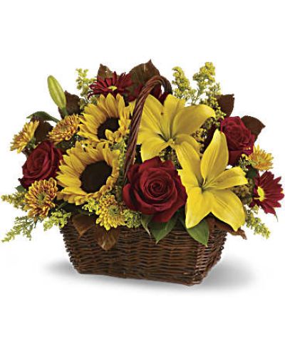 <div id="mark-3" class="m-pdp-tabs-marketing-description">
<p data-start="114" data-end="608">Capture the glow of autumn’s golden hour with the Golden Days Basket, a radiant bouquet overflowing with seasonal beauty and heartfelt warmth. Designed to brighten spirits and bring a touch of fall indoors, this rustic arrangement is like sending a basket full of sunshine. Whether you're expressing thanks, celebrating a fall birthday, or just letting someone know you’re thinking of them, this golden gift leaves a lasting impression.</p>
<p data-start="610" data-end="1027">Hand-arranged in a charming dark-handled basket, this bouquet features a vibrant mix of yellow Asiatic lilies, cheerful sunflowers, gold cushion chrysanthemums, burgundy daisy mums, and yellow solidaster. Lush green salal and copper beech leaves add depth and texture, enhancing the rich, earthy tones of the season. It’s a lush, full arrangement that blends color, fragrance, and natural elegance in perfect harmony.</p>
<p data-start="1029" data-end="1358">The Golden Days Basket is ideal for Thanksgiving centerpieces, seasonal décor, or as a meaningful gift for family, friends, or coworkers. Its joyful palette radiates happiness and appreciation, while the basket presentation gives it a welcoming, down-to-earth charm that suits any setting—from dining room tables to office desks.</p>
<p data-start="1360" data-end="1735">Each Golden Days Basket is handcrafted by the expert florists at Rosa’s La Hacienda in Boca Raton. We pride ourselves on creating beautiful, made-to-order bouquets that are never shipped in boxes or assembled by third parties. With same-day flower delivery in Boca Raton and surrounding neighborhoods, Rosa’s delivers every bouquet with care, precision, and a personal touch.</p>
<p data-start="1737" data-end="1935">Make your gift even more special by adding a custom message at checkout. Whether you’re near or far, this bouquet brings your thoughtfulness to life with autumn’s richest colors and freshest blooms.</p>
<p data-start="1937" data-end="2114">Order the Golden Days Basket today from Rosa’s La Hacienda—your trusted local florist in Boca Raton—and send a basket of seasonal sunshine, handcrafted and delivered with heart.</p>
</div>