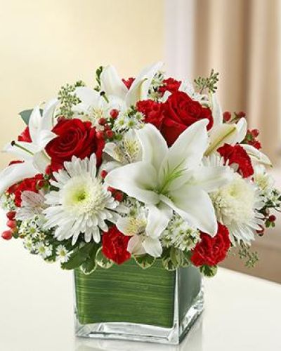 <p data-start="162" data-end="571">In life’s most tender moments, a gesture of love and remembrance can speak louder than words. The <em data-start="260" data-end="288">Healing Hope – Red & White</em> bouquet offers a meaningful expression of care and compassion, bringing comfort and beauty to those who need it most. Whether you’re sending sympathy, support, or a quiet reminder that someone is not alone, this elegant arrangement carries a message of heartfelt emotion with grace.</p>
<p data-start="573" data-end="1004">Bold red roses take center stage, symbolizing love and strength, while a variety of pristine white blooms add softness and peace to the composition. Set against fresh greenery and arranged in a timeless clear glass vase, the red and white color palette creates a sense of balance and serenity. Each stem is carefully selected to complement the others, resulting in a fresh, dignified bouquet that feels both comforting and refined.</p>
<p data-start="1006" data-end="1435">This arrangement is especially suited for moments of sympathy or remembrance, offering a visual tribute to a loved one’s memory. It’s also a thoughtful gesture for someone recovering from illness or experiencing a difficult season, reminding them that brighter days are ahead. The classic styling makes it appropriate for a wide range of settings, from home displays to memorial services, and from hospitals to places of worship.</p>
<p data-start="1437" data-end="1798">Rosa’s La Hacienda offers hand delivery of this red and white sympathy bouquet across the Boca Raton area, ensuring it arrives fresh and beautifully arranged. Whether you're sending it across town or just across the street, your message of love and support will be delivered with care by a local florist who understands the importance of every petal and ribbon.</p>
<p data-start="1800" data-end="1914" data-is-last-node="" data-is-only-node="">When words are not enough, let the <em data-start="1835" data-end="1863">Healing Hope – Red & White</em> bouquet say it all with beauty, dignity, and love.</p>