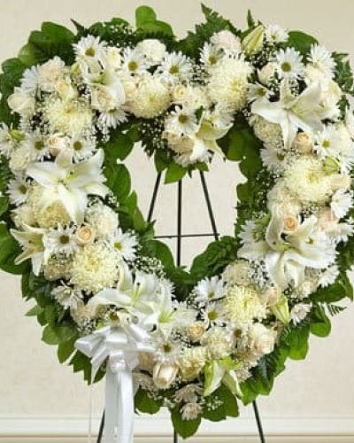 <p data-start="275" data-end="562">A tender expression of everlasting love, the Forever Cherished Floral Heart Tribute – White is a timeless way to honor a life well lived. This stunning heart-shaped arrangement speaks volumes when words alone cannot, symbolizing deep affection, reverence, and remembrance in every petal.</p>
<p data-start="564" data-end="1037">Carefully handcrafted by expert florists, this elegant standing spray features an all-white palette that radiates peace and purity. Fresh white roses offer timeless beauty, while lilies and carnations add soft, graceful texture. Baby’s breath creates a delicate halo effect around the heart, and lush greenery—including salal and leather leaf—adds fullness and natural contrast. A satin ribbon ties the design together, lending a final note of grace to this solemn tribute.</p>
<p data-start="1039" data-end="1511">Designed to be displayed on an easel at the funeral home, church, or memorial service, this floral heart is traditionally sent by close friends or family members. Its classic shape and calming color scheme make it an ideal choice for conveying unconditional love, deep sympathy, or heartfelt remembrance. Whether used to celebrate a life filled with kindness or to bring comfort to grieving hearts, this tribute serves as a poignant reminder that love endures beyond loss.</p>
<p data-start="1513" data-end="1946">Each arrangement is made with care and hand-delivered by Rosa’s La Hacienda, a trusted local florist in Boca Raton known for quality, compassion, and attention to detail. We ensure your gift arrives fresh and beautifully presented, whether to a funeral service, place of worship, or the family’s home. Our local delivery service allows you to express your support in a personal, meaningful way—even when you can’t be there in person.</p>
<p data-start="1948" data-end="2153" data-is-last-node="" data-is-only-node="">Let the Forever Cherished Floral Heart Tribute – White serve as a gentle but powerful symbol of connection, remembrance, and peace. It’s more than flowers—it’s a message of love that will not be forgotten.</p>