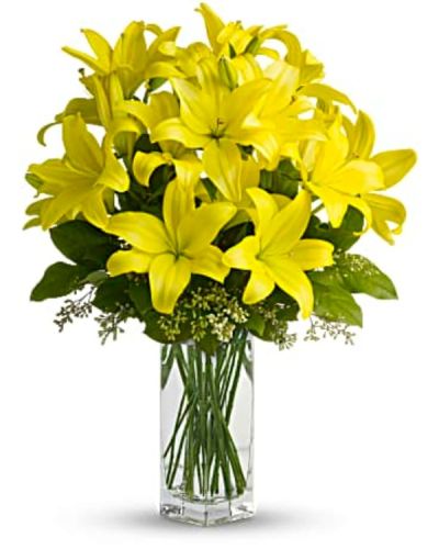 <div id="mark-3" class="m-pdp-tabs-marketing-description">
<p data-start="57" data-end="346">Bring warmth and cheer to any day with <em data-start="96" data-end="111">Lily Sunshine</em>, a radiant bouquet that celebrates the beauty of spring and the uplifting power of yellow lilies. Bursting with color and elegance, this arrangement is a perfect way to brighten someone’s space and spirit with its simple, sunny charm.</p>
<p data-start="348" data-end="740">This delightful bouquet features vibrant yellow asiatic lilies, whose graceful petals and rich golden hue capture the essence of joy and renewal. Accented with fresh salal and textured seeded eucalyptus, the arrangement has a clean, modern look while maintaining a lush, garden-inspired feel. All blooms are artfully arranged in a clear bunch vase, letting the vivid lilies take center stage.</p>
<p data-start="742" data-end="1028"><em data-start="742" data-end="757">Lily Sunshine</em> is an ideal gift for birthdays, get-well wishes, new beginnings, or any moment when you want to share light and happiness. Yellow lilies symbolize positivity, friendship, and gratitude, making this bouquet a thoughtful and versatile choice for a wide range of occasions.</p>
<p data-start="1030" data-end="1278">Each arrangement is handcrafted by the expert florists at Rosa’s La Hacienda in Boca Raton. We offer same-day flower delivery across Boca Raton and surrounding areas, ensuring that your gift arrives fresh, full, and ready to brighten someone’s day.</p>
<p data-start="1280" data-end="1456">Add a personalized message at checkout to make your gift even more heartfelt. With <em data-start="1363" data-end="1378">Lily Sunshine</em>, you’re not just sending flowers—you’re delivering a moment of light and joy.</p>
<p data-start="1458" data-end="1590" data-is-last-node="" data-is-only-node="">Order today for same-day delivery in Boca Raton and nearby communities. <em data-start="1530" data-end="1545">Lily Sunshine</em> is a bouquet that brings the season to life.</p>
</div>