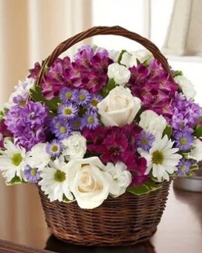 <p data-start="220" data-end="549">When someone you care about is grieving, the right gesture can offer both comfort and quiet strength. The <em data-start="326" data-end="372">Peace, Love & Hope Basket – Lavender & White</em> brings together soft, serene blooms to create a tender expression of sympathy and remembrance. Its gentle palette and graceful design speak volumes when words are hard to find.</p>
<p data-start="551" data-end="935">This thoughtfully arranged basket features a blend of lavender roses, fragrant stock, white alstroemeria, daisy poms, mini carnations, and delicate monte casino. Variegated pittosporum and fresh myrtle add texture and balance, enhancing the peaceful tone of the piece. Hand-designed in a charming handled basket, it’s a fitting tribute to someone whose memory will always bring light.</p>
<p data-start="937" data-end="1252">With its soothing colors and fresh floral fragrance, this arrangement is ideal for sending your condolences to the home of a grieving family or as a heartfelt tribute at a memorial service. The lavender and white hues represent peace, reverence, and hope—making this gift a beautiful way to honor a life well lived.</p>
<p data-start="1254" data-end="1554">At Rosa’s La Hacienda, we craft every arrangement with care and compassion. As a trusted local florist in Boca Raton, we offer same-day delivery for sympathy flowers throughout the area. Whether you're near or far, you can trust us to handle your message with professionalism and heartfelt attention.</p>
<p data-start="1556" data-end="1779">Include a thoughtful message at checkout to personalize your gift. The <em data-start="1627" data-end="1673">Peace, Love & Hope Basket – Lavender & White</em> helps you show you’re thinking of them—offering love, hope, and a gentle reminder that they’re not alone.</p>
<p data-start="1781" data-end="1898">Order today from Rosa’s La Hacienda, where every sympathy arrangement is made with sincerity and delivered with care.</p>