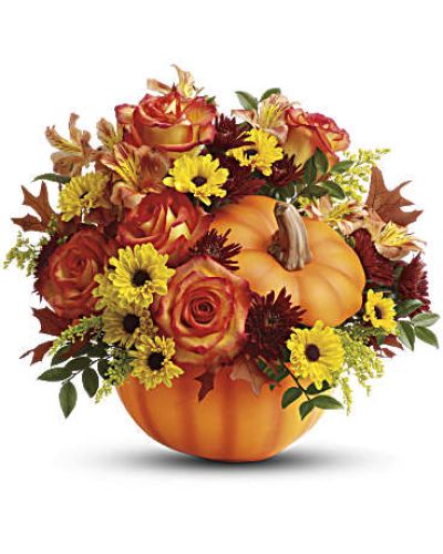 <div id="mark-3" class="m-pdp-tabs-marketing-description">
<p data-start="139" data-end="623">Celebrate the warmth and wonder of the season with Teleflora’s Warm Fall Wishes, a radiant bouquet that brings autumn’s most beautiful colors to life. Hand-delivered in a charming ceramic pumpkin, this heartwarming arrangement is the perfect way to share gratitude, joy, and festive spirit. Whether you’re sending seasonal cheer or decorating your own table, it’s a gift that blends elegance with fall fun.</p>
<p data-start="625" data-end="1117">This delightful design features a lush mix of autumn favorites: vibrant orange roses, orange alstroemeria, burgundy cushion chrysanthemums, yellow daisy chrysanthemums, and golden solidago. These rich blooms are accented with seasonal greenery, including huckleberry and oak leaves, creating a full and textural look that mirrors the beauty of fall foliage. The entire bouquet is thoughtfully arranged in a keepsake ceramic pumpkin—making it a gift they can enjoy long after the flowers fade.</p>
<p data-start="1119" data-end="1446">Ideal for Thanksgiving gatherings, fall birthdays, hostess gifts, or simply brightening someone’s day, Teleflora’s Warm Fall Wishes adds a festive touch to any occasion. Its warm color palette and reusable container make it as practical as it is beautiful, offering lasting value and heartfelt charm in one thoughtful delivery.</p>
<p data-start="1448" data-end="1808">Each arrangement is handcrafted by the floral experts at Rosa’s La Hacienda, your trusted local florist in Boca Raton. We proudly offer same-day flower delivery in Boca Raton and nearby communities, ensuring every order arrives fresh, full, and beautifully styled. No drop shipping, no generic boxes—just locally made arrangements delivered with love and care.</p>
<p data-start="1810" data-end="2062">Want to make your fall gift even more personal? Add a message at checkout to let them know just how much you care. Teleflora’s Warm Fall Wishes delivers everything you love about the season—cozy colors, thoughtful details, and a touch of harvest magic.</p>
<p data-start="2064" data-end="2171">Order now from Rosa’s La Hacienda for same-day flower delivery in Boca Raton and surrounding neighborhoods.</p>
</div>