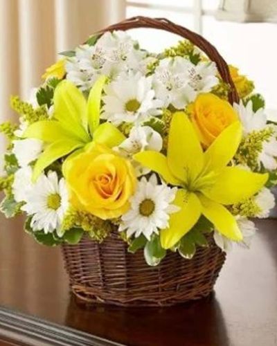 <p data-start="202" data-end="473">When words alone aren’t enough, send a warm and thoughtful gesture that offers comfort and light. The <em data-start="304" data-end="348">Peace, Love & Hope Basket – Yellow & White</em> is a graceful expression of sympathy, designed to bring peace, remembrance, and heartfelt support to those who need it most.</p>
<p data-start="475" data-end="795">This elegant arrangement features a comforting blend of yellow and white blooms, including roses, lilies, alstroemeria, daisy poms, mini carnations, and solidago. Accented with variegated pittosporum and myrtle, the flowers are beautifully arranged in a classic handled willow basket for a soft and natural presentation.</p>
<p data-start="797" data-end="1080">Perfect for sending to the home of grieving friends and family or directly to a memorial service, this basket symbolizes hope, love, and the peaceful memory of a cherished life. The yellow blooms express warmth and remembrance, while the white flowers reflect serenity and reverence.</p>
<p data-start="1082" data-end="1365">Each <em data-start="1087" data-end="1131">Peace, Love & Hope Basket – Yellow & White</em> is handcrafted by Rosa’s La Hacienda, your trusted local florist in Boca Raton. We proudly offer same-day delivery throughout Boca Raton and surrounding communities, ensuring every arrangement arrives fresh and thoughtfully prepared.</p>
<p data-start="1367" data-end="1522">Include a sympathy message at checkout to share your love and support. Let this comforting basket offer a moment of beauty and peace when it’s needed most.</p>