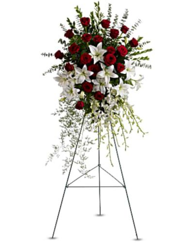 <div id="mark-1" class="m-pdp-tabs-marketing-description">
<p data-start="81" data-end="406">Pay lasting tribute to a remarkable life with <em data-start="127" data-end="166">Teleflora’s Lily & Rose Tribute Spray</em>, a dramatic and elegant standing arrangement that symbolizes deep love, reverence, and eternal remembrance. Crafted with timeless blooms and cascading accents, this spray is a powerful visual expression of heartfelt admiration and respect.</p>
<p data-start="408" data-end="914">This striking design features rich red roses, pure white asiatic lilies, and delicate white dendrobium orchids. These premium flowers are thoughtfully arranged to create a flowing, vertical composition that is both graceful and commanding. Accents of myrtle, sprengeri fern, leatherleaf fern, and spiral eucalyptus add natural depth and texture, enhancing the presentation with layers of greenery. Mounted on a traditional wire funeral easel, the spray stands tall and dignified at any service or memorial.</p>
<p data-start="916" data-end="1210"><em data-start="916" data-end="943">Lily & Rose Tribute Spray</em> is an ideal choice for honoring a beloved family member, close friend, or anyone whose presence left a lasting impact. The red and white palette reflects themes of love, purity, and remembrance—making this a deeply meaningful floral gesture during times of farewell.</p>
<p data-start="1212" data-end="1523">Each spray is handcrafted by the compassionate team at Rosa’s La Hacienda in Boca Raton, using only the freshest blooms. We offer same-day delivery to funeral homes, places of worship, and memorial locations throughout Boca Raton and nearby communities, ensuring your tribute is delivered on time and with care.</p>
<p data-start="1525" data-end="1757">Include a personal note at checkout to accompany your arrangement and share your thoughts or condolences. At Rosa’s La Hacienda, we are honored to help you express your love and remembrance through flowers that speak from the heart.</p>
<p data-start="1759" data-end="1932" data-is-last-node="" data-is-only-node="">Order today for same-day delivery in Boca Raton and surrounding areas. <em data-start="1830" data-end="1869">Teleflora’s Lily & Rose Tribute Spray</em> is a powerful and elegant farewell to someone truly cherished.</p>
</div>