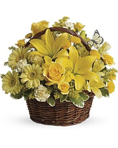 <p data-start="135" data-end="481">Send a burst of happiness straight to their doorstep with Basket Full of Wishes, a joyful floral arrangement designed to brighten any day. Overflowing with sun-kissed blooms and playful charm, this design captures the warmth of a summer afternoon and the simple magic of heartfelt wishes.</p>
<p data-start="483" data-end="867">This radiant bouquet features brilliant yellow spray roses, Asiatic lilies, miniature gerbera daisies, carnations, alstroemeria, and button spray chrysanthemums. Accented with fresh greenery and presented in a charming oval basket, the display is topped with a delicate yellow butterfly that adds a whimsical finishing touch. It’s a floral surprise that feels both cozy and uplifting.</p>
<p data-start="869" data-end="1131">Perfect for birthdays, get-well wishes, thank-you gestures, or just because, Basket Full of Wishes brings joy and light to any occasion. Its natural basket presentation and sunny palette make it feel personal and inviting, like a thoughtful gift from the garden.</p>
<p data-start="1133" data-end="1496">Each arrangement is lovingly crafted by the expert florists at Rosa’s La Hacienda, your trusted local flower shop in Boca Raton. We offer same-day flower delivery throughout Boca Raton and nearby communities, ensuring your gift arrives fresh, fragrant, and full of heart. Every bouquet is made locally with care and attention, never mass-produced or drop shipped.</p>
<p data-start="1498" data-end="1761">Want to add your personal touch? Include a custom message at checkout to make your delivery even more memorable. With its cheerful colors and charming details, Basket Full of Wishes is a sweet reminder that good things really do come in small, beautiful packages.</p>
<p data-start="1763" data-end="1879">Place your order with Rosa’s La Hacienda today and share the warmth, wonder, and joy of flowers delivered with love.</p>