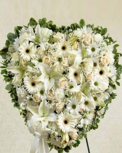 <p data-start="180" data-end="409">When words feel inadequate, a symbol of pure love and sympathy can offer comfort and peace. The <em data-start="276" data-end="304">White Heart Standing Spray</em> is a graceful and meaningful tribute, designed to express your deepest condolences with timeless beauty.</p>
<p data-start="411" data-end="729">This elegant arrangement is shaped into a solid heart and crafted entirely from fresh white blooms, including roses, lilies, Gerbera daisies, carnations, and other seasonal accents. Mounted on a wire easel and tied with a soft satin ribbon, it creates a serene and striking presence at any funeral or memorial service.</p>
<p data-start="731" data-end="962">The all-white color palette represents purity, remembrance, and eternal love. Appropriate for family, friends, or business associates, this arrangement serves as a heartfelt tribute to someone who held a special place in your life.</p>
<p data-start="964" data-end="1255">Each <em data-start="969" data-end="997">White Heart Standing Spray</em> is carefully handcrafted by Rosa’s La Hacienda, your trusted local florist in Boca Raton. We offer same-day delivery to funeral homes and service venues throughout Boca Raton and nearby communities, ensuring every tribute is delivered with care and respect.</p>
<p data-start="1257" data-end="1466">Add a personalized sympathy message at checkout to accompany your floral tribute. With its simple elegance and powerful symbolism, the <em data-start="1392" data-end="1420">White Heart Standing Spray</em> is a beautiful way to honor a cherished life.</p>