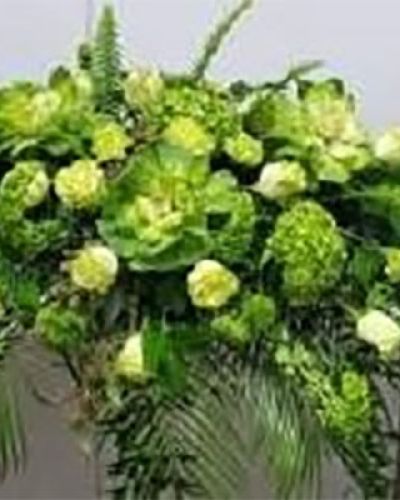 <p data-start="160" data-end="554">In moments of quiet reflection and final goodbyes, a simple, elegant tribute can speak volumes. The <em data-start="260" data-end="280">Green Casket Spray</em> offers a peaceful and natural way to honor a loved one’s life, using the timeless beauty of greenery to symbolize renewal, eternal life, and enduring love. This all-green display is a graceful alternative to traditional floral sprays—subtle, calming, and deeply meaningful.</p>
<p data-start="556" data-end="1102">Expertly designed with a lush selection of assorted green plants and foliage, the arrangement features varying textures and tones for a rich, layered look. From soft ferns and glossy leaves to structured tropical greenery, each element is carefully chosen to create a harmonious presentation. With no flowers, this spray draws attention to nature’s understated beauty, offering a soothing presence that reflects strength, balance, and serenity. Designed to rest atop the casket, it serves as a central tribute during funeral or memorial services.</p>
<p data-start="1104" data-end="1534">The <em data-start="1108" data-end="1128">Green Casket Spray</em> is particularly fitting for those who cherished the outdoors, preferred simplicity, or valued sustainability. Its verdant palette brings a grounding and natural energy to the service, creating a sense of calm and continuity. Whether you’re honoring a beloved family member, close friend, or a gentle soul who lived with quiet grace, this arrangement reflects your respect in a dignified and beautiful way.</p>
<p data-start="1536" data-end="1924">Handcrafted by the skilled floral team at Rosa’s La Hacienda, each spray is arranged with care and delivered throughout the Boca Raton area. We work closely with local funeral homes and venues to ensure timely, professional delivery for your peace of mind. As a local florist, we are committed to helping families find comfort through floral artistry during life’s most sensitive moments.</p>
<p data-start="1926" data-end="2024" data-is-last-node="" data-is-only-node="">Let the <em data-start="1934" data-end="1954">Green Casket Spray</em> offer a peaceful farewell—natural, enduring, and full of quiet grace.</p>
<ul id="prodDetailDelivery">
<li><span style="color: red;"><b>Local Delivery Only</b></span></li>
</ul>