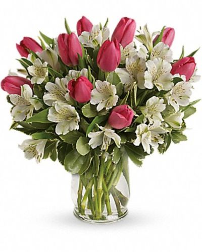 <p>Celebrate the gentle beauty of spring with a bouquet that radiates quiet joy and elegant simplicity. Light and fresh, this floral design captures the spirit of renewal and offers a meaningful way to express affection, appreciation, or connection. Its graceful composition brings a soft touch to life’s most heartfelt moments.</p>
<p>Soft pink tulips and crisp white alstroemeria form the heart of this arrangement, creating a harmonious blend of pastel color and delicate shape. Hints of variegated pittosporum add texture and a natural green accent, all gathered in a classic clear hurricane vase. The result is open, airy, and perfectly balanced—letting each bloom shine in its own quiet way.</p>
<p>Whether given for Mother’s Day, a birthday, an anniversary, or simply as a thoughtful surprise, this bouquet speaks with understated elegance. The tulips symbolize perfect love and new beginnings, while alstroemeria conveys devotion and lasting friendship. Together, they create a floral message that’s as versatile as it is heartfelt.</p>
<p>Handcrafted by an experienced florist and delivered with care, this bouquet is arranged using the freshest blooms available. Natural variations in flower size or stage of bloom may occur, but the overall look remains gentle, seasonal, and true to its uplifting spirit. Some blossoms may arrive in bud form for lasting enjoyment.</p>
<p>Send a touch of spring with a bouquet that blends grace, meaning, and freshness—an easy yet elegant way to share what words often can’t.</p>